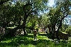 Photo : {Click to enlarge}
