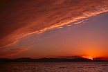 Photo : {Click to enlarge}